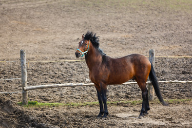 Similar image 11137280