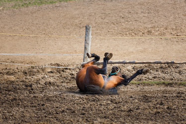 Similar image 11137282