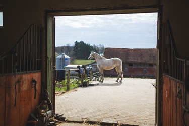 Similar image 11137285