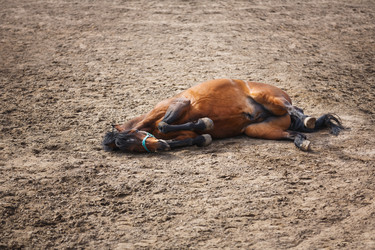 Similar image 11137317