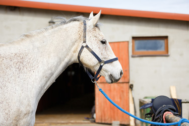 Similar image 11137319