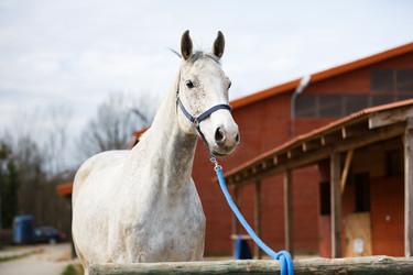 Similar image 11137320