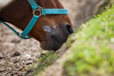 Similar image 11137322