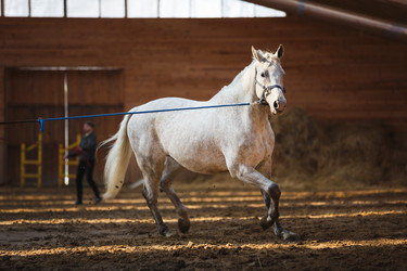 Similar image 11137329