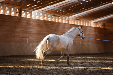 Similar image 11137332