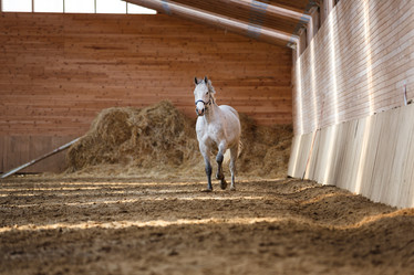 Similar image 11137336