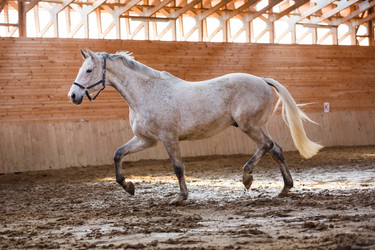 Similar image 11137337