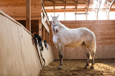 Similar image 11137339