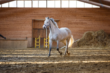 Similar image 11137340