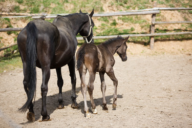 Similar image 11137342