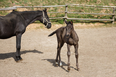 Similar image 11137343