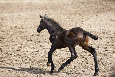 Similar image 11137344