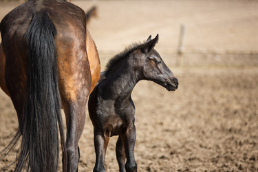 Similar image 11137345