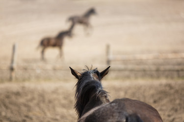 Similar image 11137347