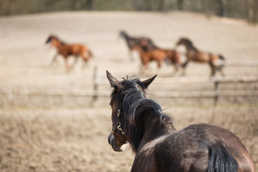 Similar image 11137360