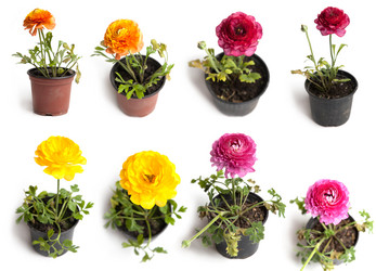 Similar image 11123094