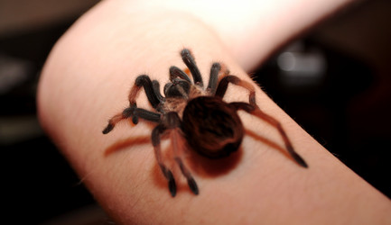 Similar image 11136114