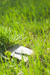 Similar image 11136122