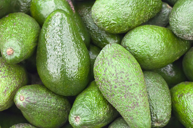 Similar image 11117214