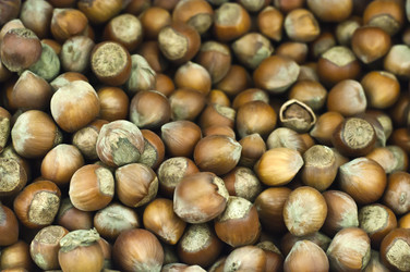 Similar image 11117217