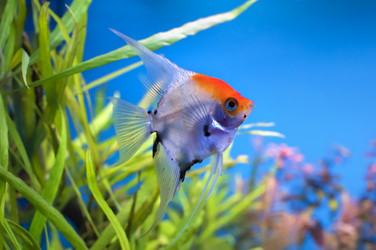 Similar image 11117224