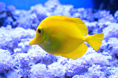 Similar image 11117226