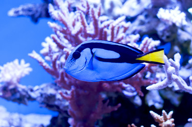 Similar image 11117228