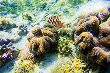 Similar image 11141470