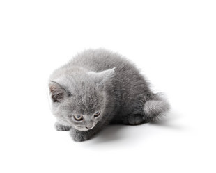 Similar image 11172140