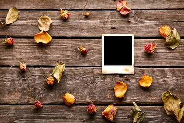 Similar image 11172386