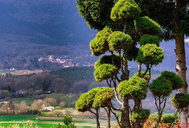 Similar image 11136902