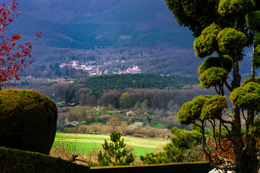 Similar image 11136906