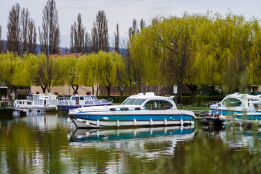 Similar image 11136816