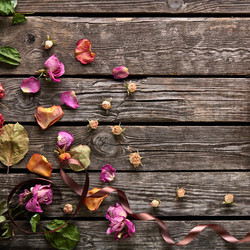 Similar image 11170874