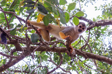 Similar image 11134567