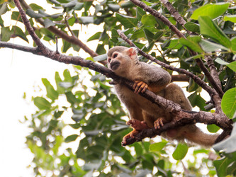 Similar image 11134568