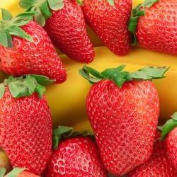 Similar image 11127936