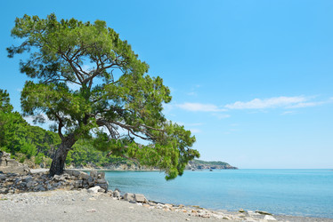 Similar image 11127951