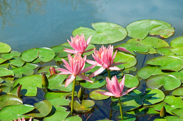 Similar image 11134639