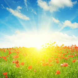 Similar image 11134641