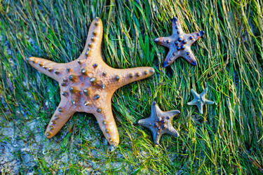 Similar image 11139105