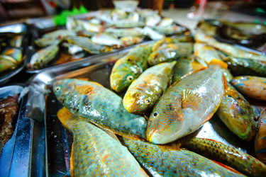 Similar image 11139123