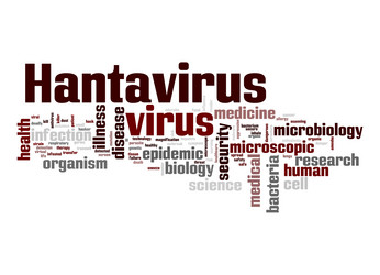 Similar image 11142319