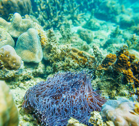 Similar image 11141564