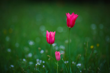 Similar image 11137286