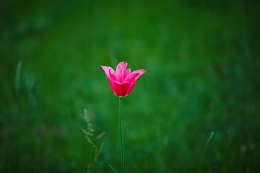 Similar image 11137287