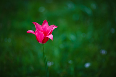 Similar image 11137288