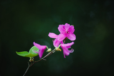 Similar image 11137289