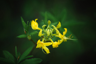 Similar image 11137290