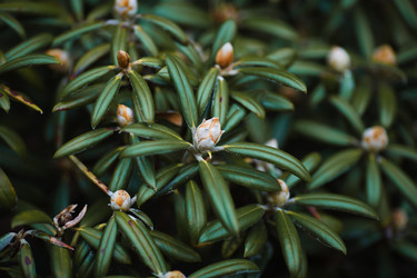 Similar image 11137291